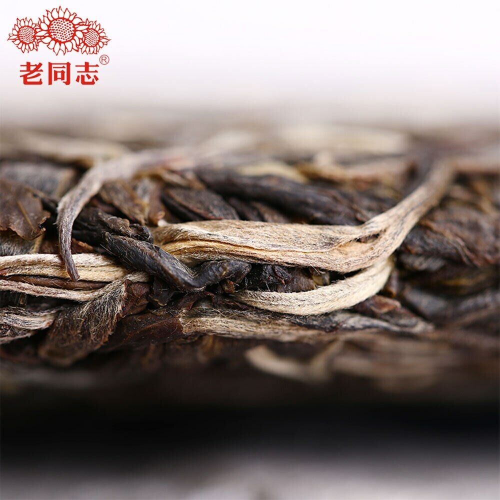 Haiwan 2018 Chinese Puer Tea Liang Yuan "Deng Yun" Raw Puerh 400g