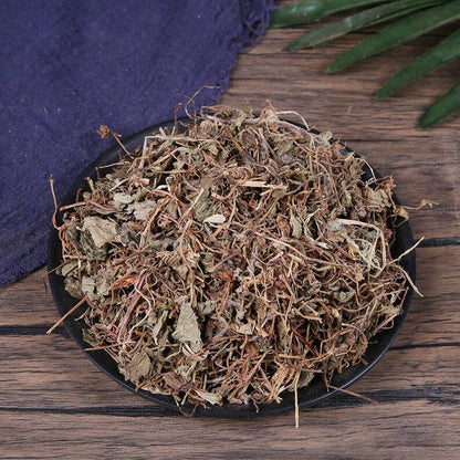 Organic Herbal Centellae Pennywort Herb Centella Asiatica Jixuecao Great Quality
