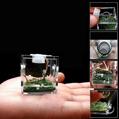 Ant Farms 3Pc Acrylic Clear Spider Insect Breathable Terrarium Reptile Breed Box