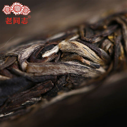 357g Premium Haiwan Tea Sheng Puerh 9948 Batch 191 Raw Pu Erh Tea Health Care