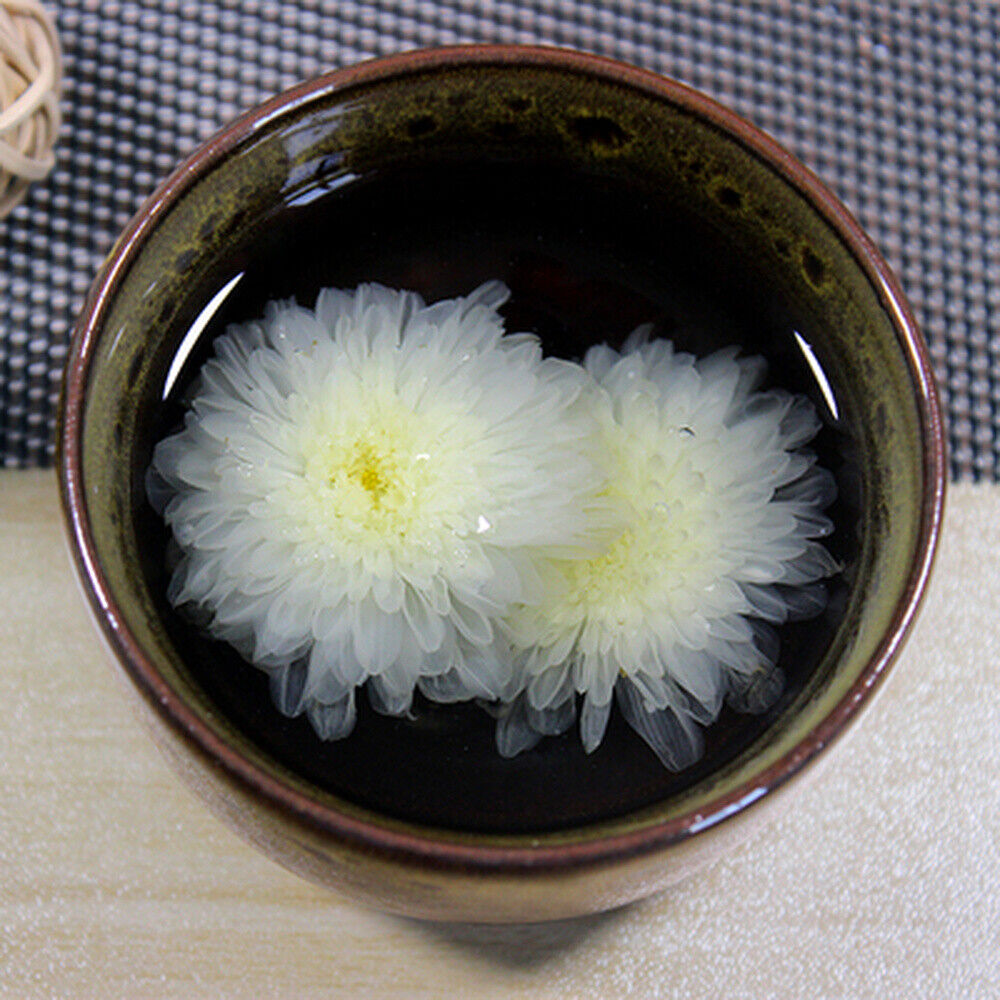 High quality White Chrysanthemum Tea Bai Ju Hua Ch Florists chrysanthemum