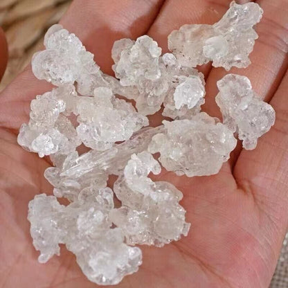 Natural Dried Gum Tree Secretion 雪燕 Xueyan Xue Yan, Snow Bird Nest Tao Jiao