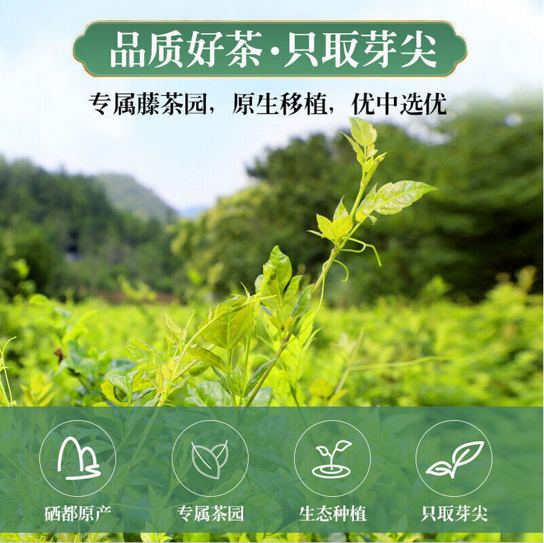 正品张家界莓茶 富含黄酮特级野生龙须芽尖藤茶土家养生茶 Zhangjiajie meicha tengcha natural health herbal tea