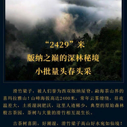 Pu-erh tea,2020, SHENG JIA YUAN, 滑竹梁子 slippery bamboo beams ,357g,Raw