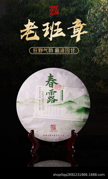 Pu'er Tea Raw Tea Cake Spring Dew Ban Zhang Gu Shu Puerh Tea 357g Qizi Cake Tea