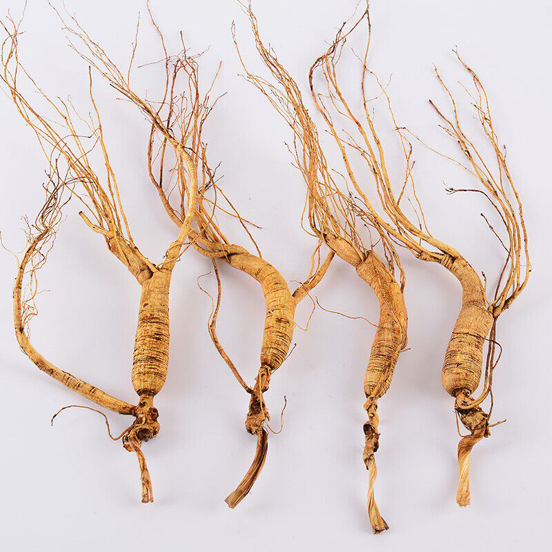 Stem transplanted wild ginseng roots, 10-15 years old, relatively intact Panax ginseng-