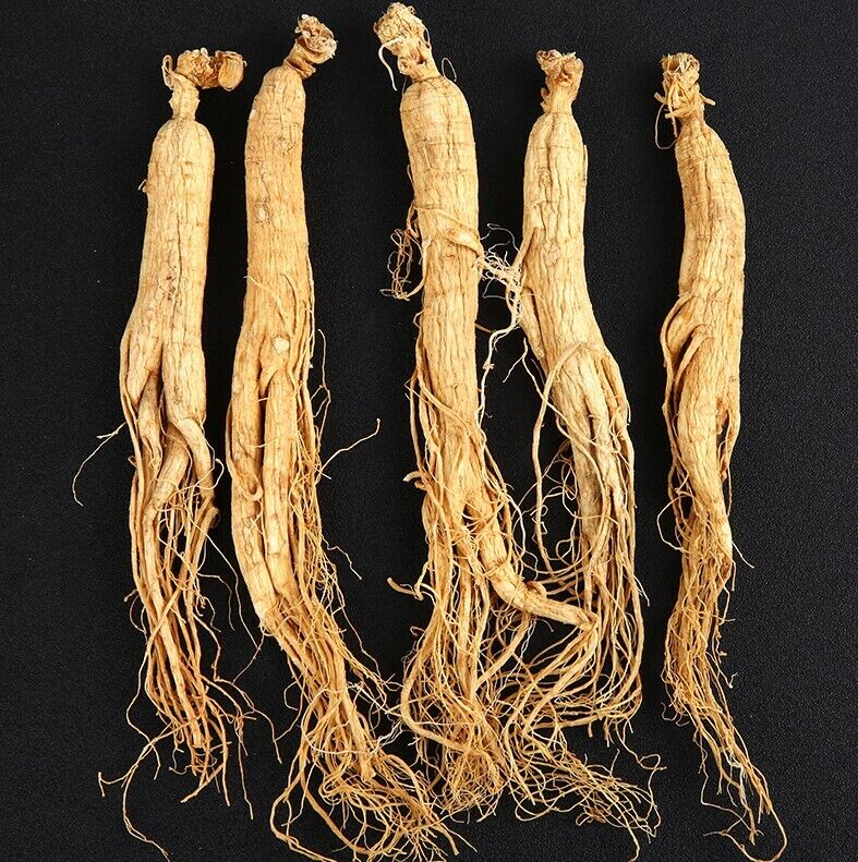 Changbai Mountain Dried white Ginseng Root 6 years Ginseng roots chinese herbal
