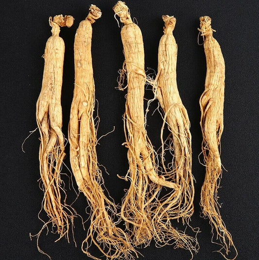 Changbai Mountain Dried white Ginseng Root 6 years Ginseng roots chinese herbal