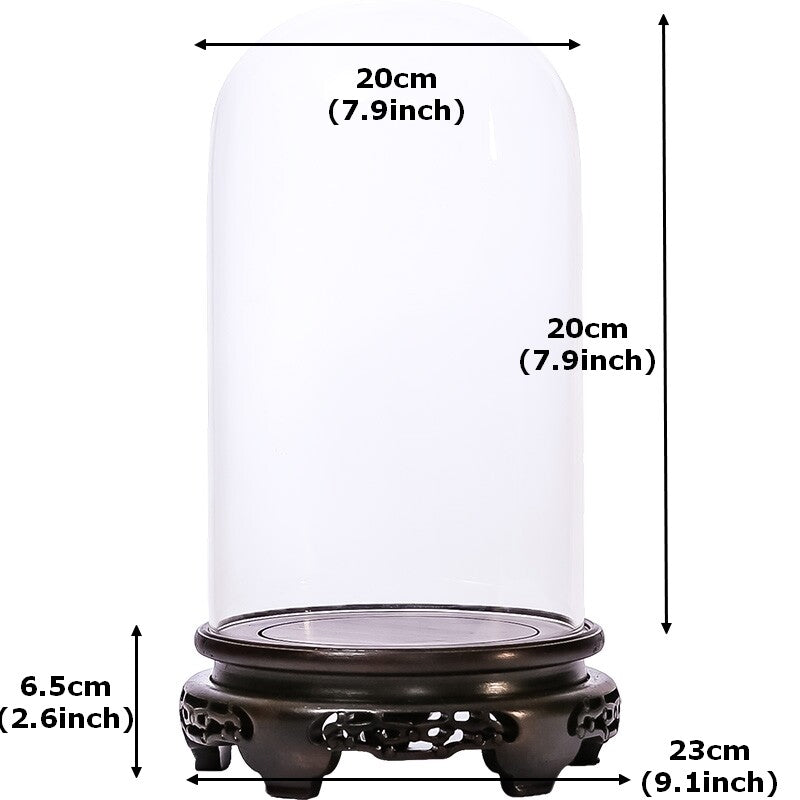 New Glass Display Dome Ebony Wood Base Case Cloche Globe Cover Protection Decor