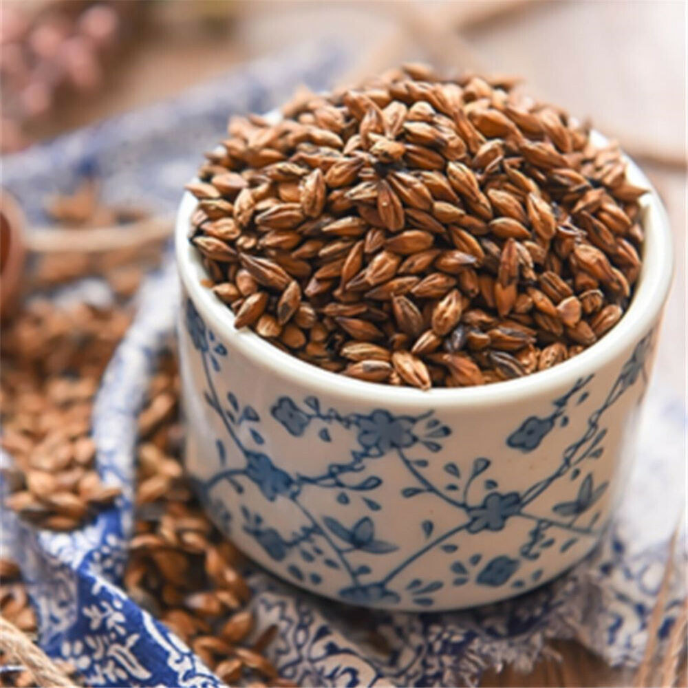 Japanese Roasted Barley Tea Mugicha Roasted Barley Tea Caffeine Free Tea-