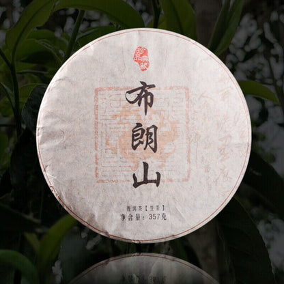 357g Yunnan Brown Mountain Cha Tea Tree Tea