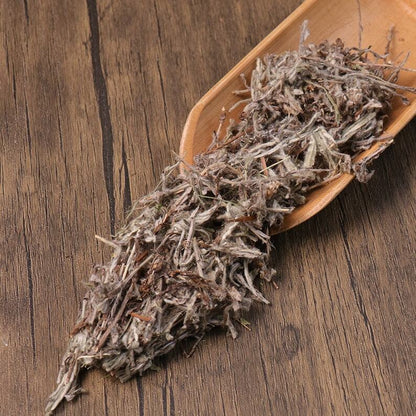 Organic Herbal Common Edelweiss Herb Leontopodium Ochroleucum Great Quality