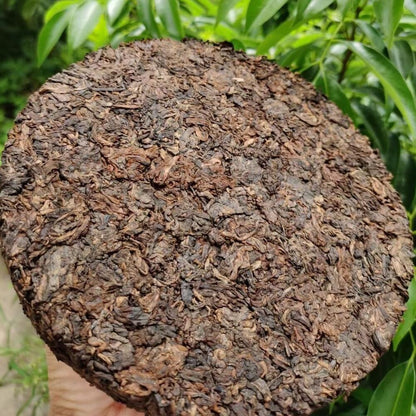 Lao Cha Tou * 2018 Yongde Ancient Tree Pu-erh Tea Cake 380g Ripe Pu'er Puer Tea