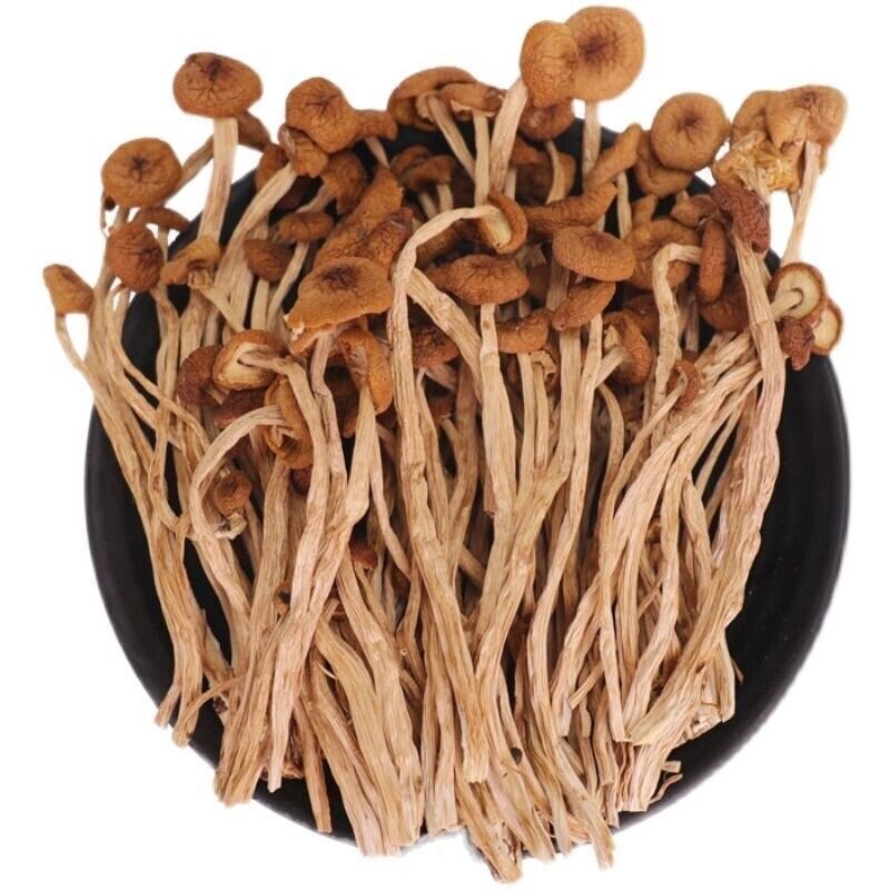 Natural Tea Tree Mushrooms agrocybe cylindracea Dried Mushrooms Kitchen Food