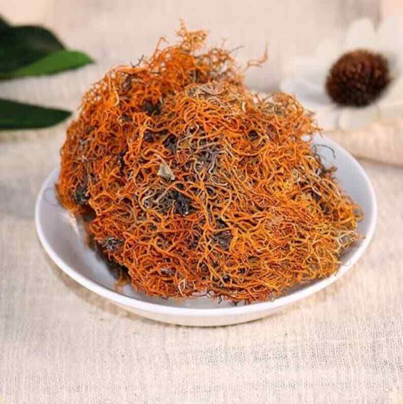 Organic Dried Red Thamnolia Vermicularia, Red Snow Tea