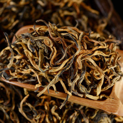 Premium TeJi FengQing Dian Hong ancient trees Black tea Gold bud DianHong Tea