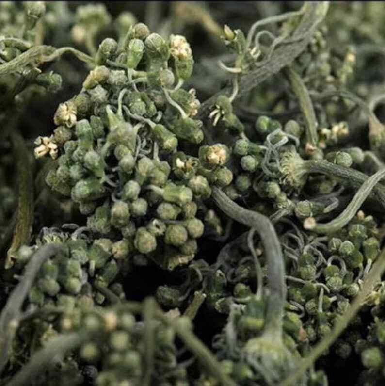 Ginseng Flower Tea, Panax Ginseng Of Flowers, Ginseng Flower Nature Herbal Tea