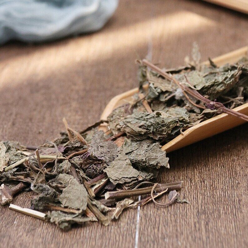 Natural Herbal Perilla Leaf Folium Perillae Perilla Frutescens Great Quality
