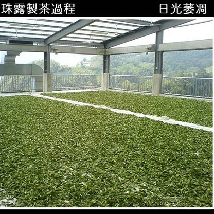 Taiwan unique tea, Alishan Pearl Tea (Alpine Oolong), 300g*2