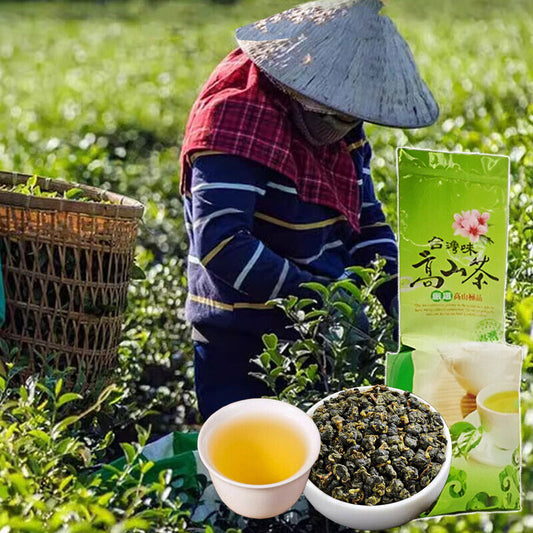 China Taiwanese High Mountain Milk Oolong Tea Jinxuan Oolong Loose Leaf