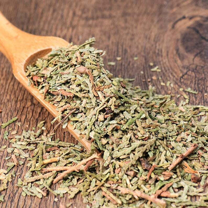 Organic Herbal Cacumen Platycladi Chinese Arborvitae Twig Great Quality