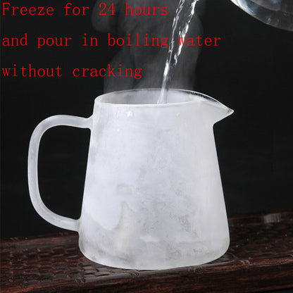 Clear Glass Teapot 20oz stainless steel Infuser Borosilicate Kettle Set Tea Pot