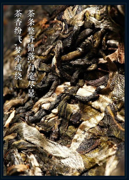 Pu-Erh, Shengjiayuan, Understanding (Ancient Tree Pure Ingredients) Tea District, 2020y, 357g