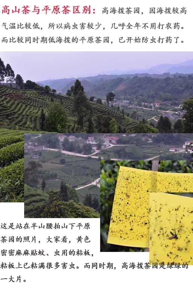 Sichuan Old Brand Ya'an Tibetan collection Tea 黑茶雅安藏茶叶藏黑砖400g低氟 特级优级砖茶