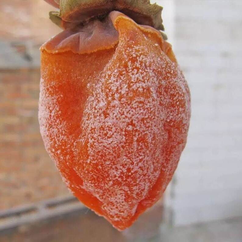 2024 Year New Premium Persimmon Fu Ping Shibing, Shi Bing