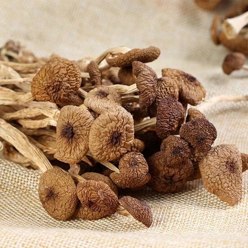 Natural Tea Tree Mushrooms agrocybe cylindracea Dried Mushrooms Kitchen Food