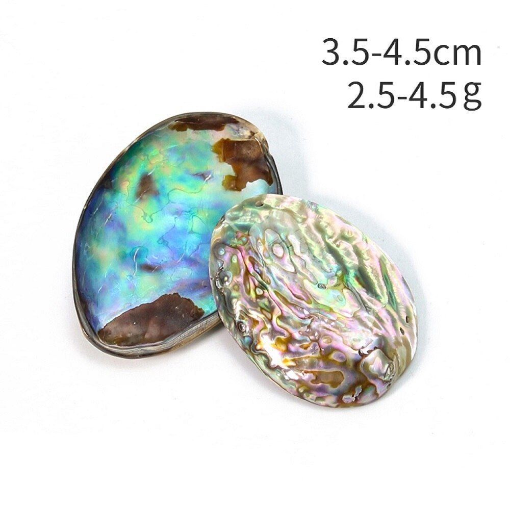 Sea Shells Conch Natural Abalone Aquarium Landscape Home Decoration 35-45mm 2Pcs