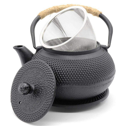 Tea Pot with Stainless Steel Infuser Cast Iron Teapot Tea Kettle Boiling Water