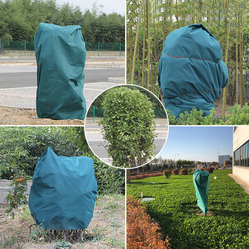 Green Warm Plant Cover Tree Shrub Frost Winter Protection Bag Jacket Yard Garden