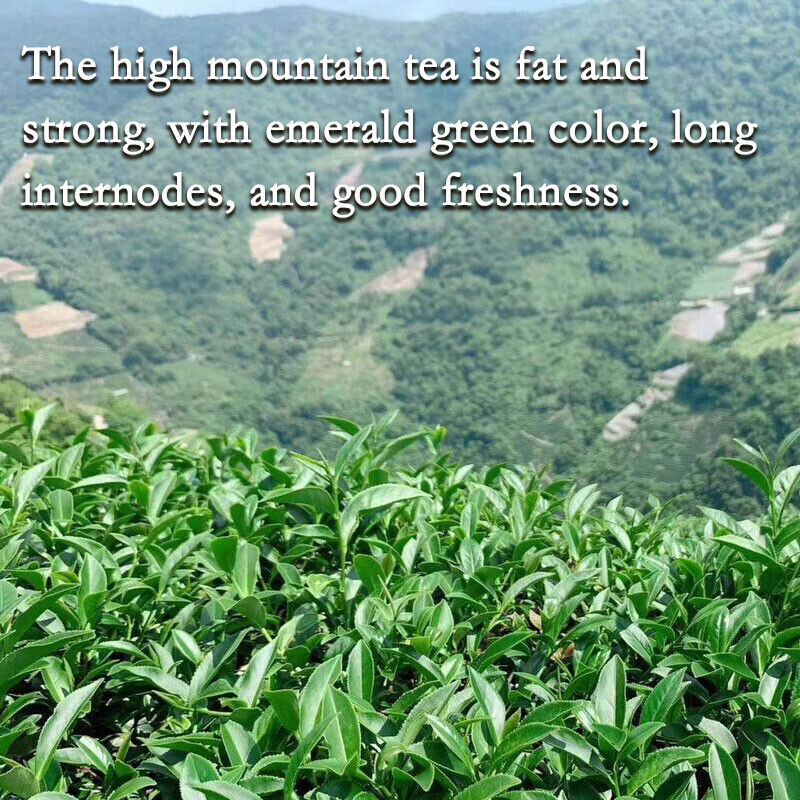HelloYoung Milk Oolong Tea loose leaf Jin Xuan Golden Lily Tea gift Strong aroma