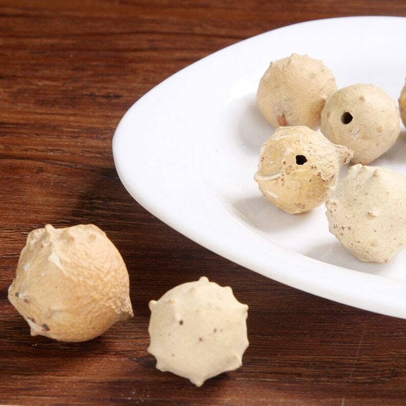 Recommend Dried Aleppo Gall Premium Quercus Infectoria Oliv.