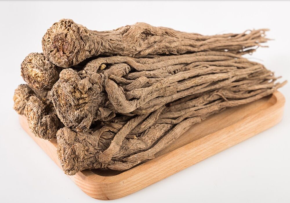 Angelica sinensis herb from Minxian County, Gansu Province-