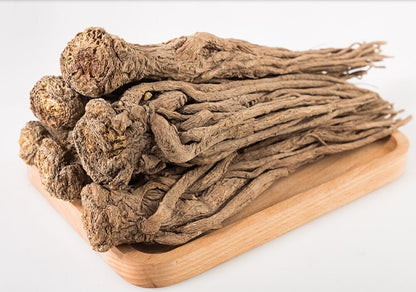 Angelica sinensis herb from Minxian County, Gansu Province-