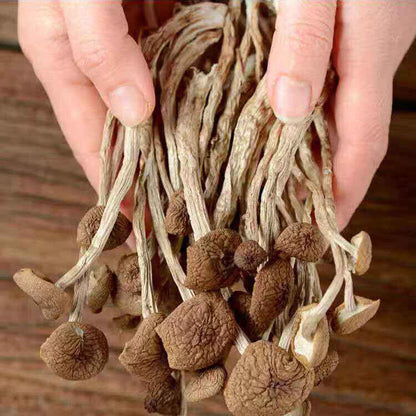 Premium Dried Tea Tree Mushroom 250g/bag Chinese Herbal Agrocybe Cylindracea New