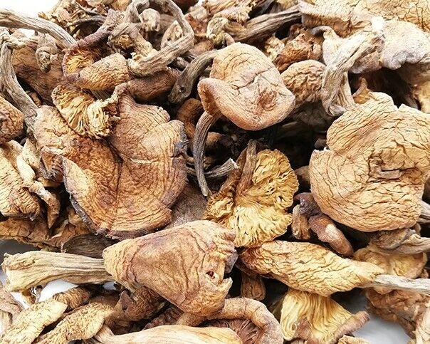 Dried Paddy Straw Mushrooms chinese foods