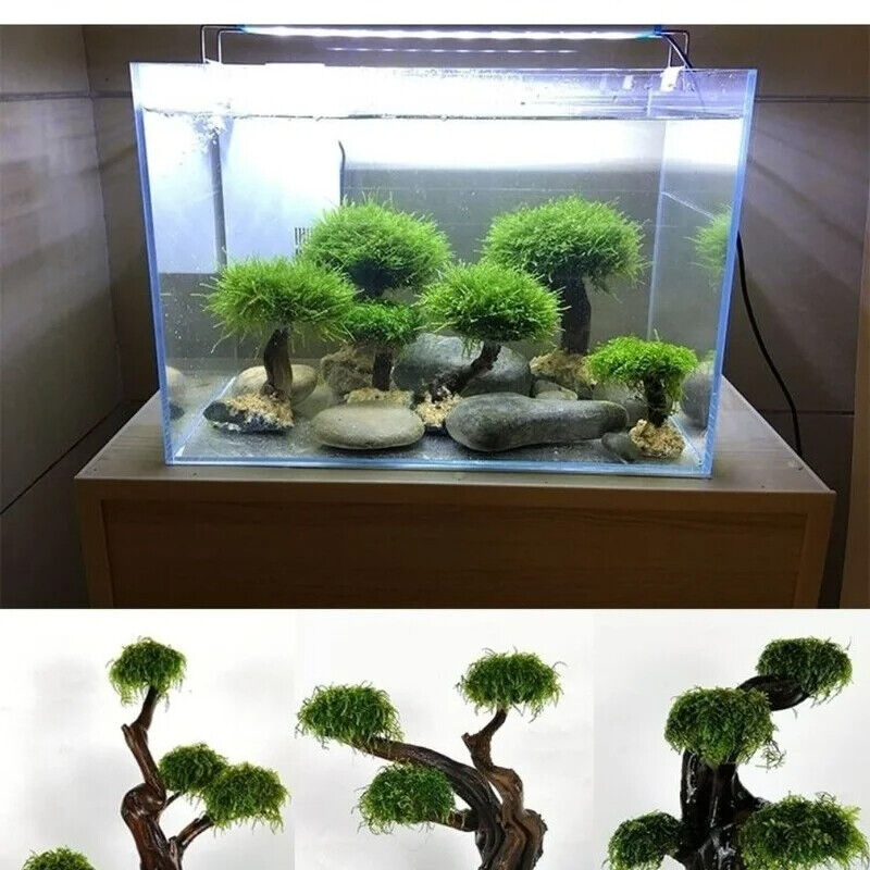 Aquarium Accessories Sponge Stainless Steel Net Mesh Pad DIY Fish Tank Moss Tree