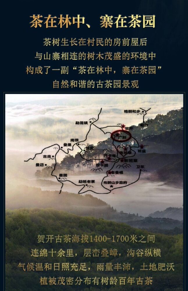 Pu-Erh, Sheng Jiayuan, He Kai, 2020y,357g