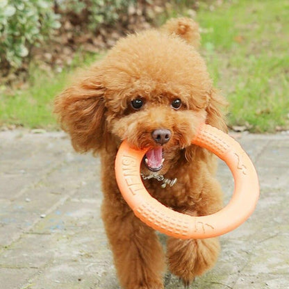 Dog Flying Disc Frisbee Discs Ring Bite Resistant Interactive Pet Training Toy
