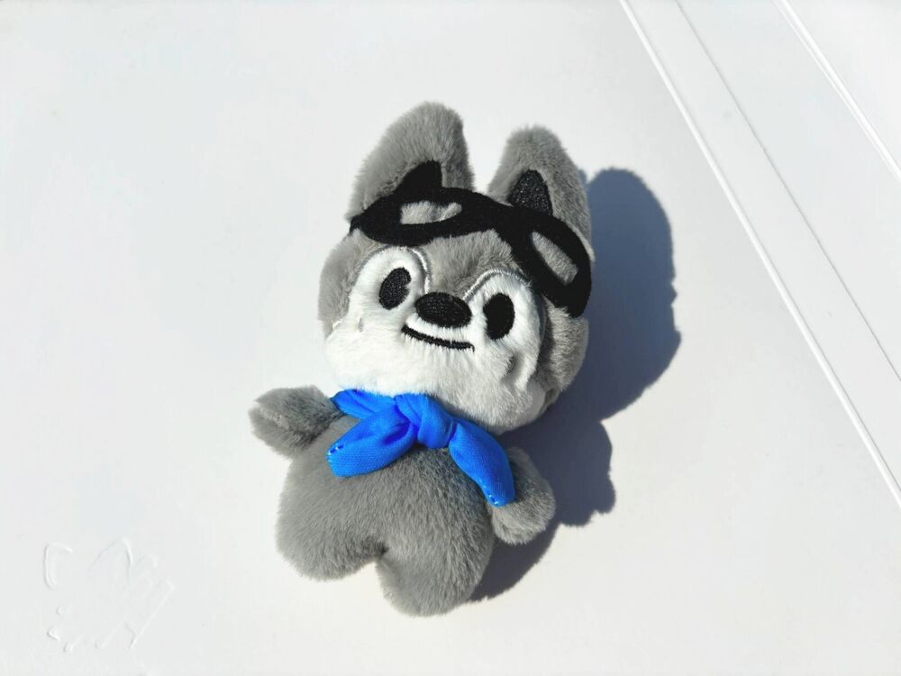 Stray Kids Pilot Plush Doll 3Rd Fanmeeting Goods Skzoo Doll Pendants Gift