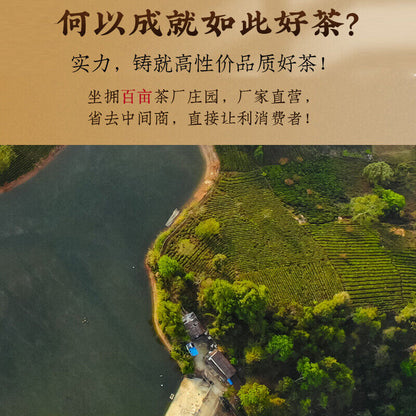 Pu Zi Wei Mengku Ba Nuo Old Leaves Old Tree Huang Pian Pu Er Raw Tea Brick 500g