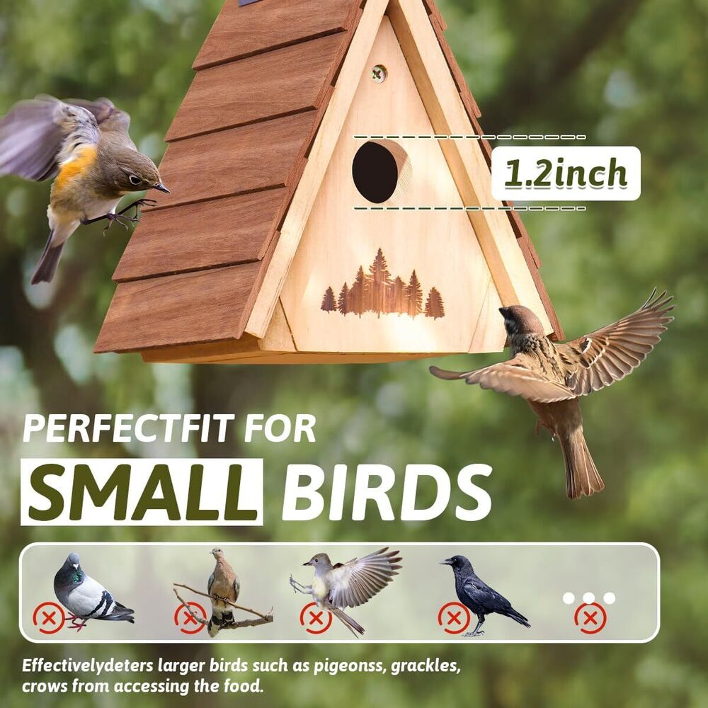 Bamboo Cedar Wooden Bird House Lifetime Lasting and Paintable Hanging Set of 2