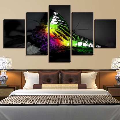 Colourful Butterfly Insect Canvas Prints Painting Wall Art Home Decor Picture 5P