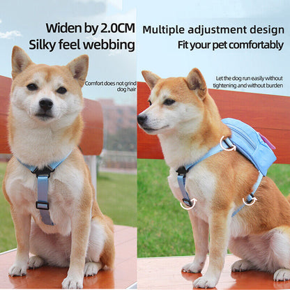 Pet Snack Self Backpack Dog Outdoor Travel Pouch Dog School Bag Waterproof Cute⌒