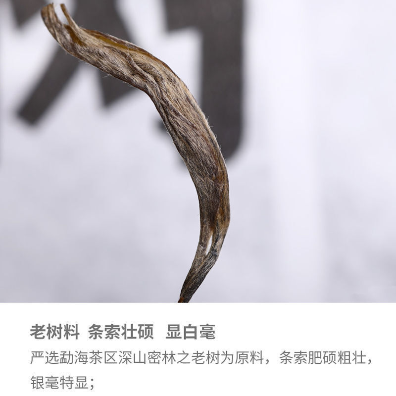 Remote Mountain Ancient Tree 2019 Haiwan Old Comrade Batch 191 Raw Puer Tea 500g