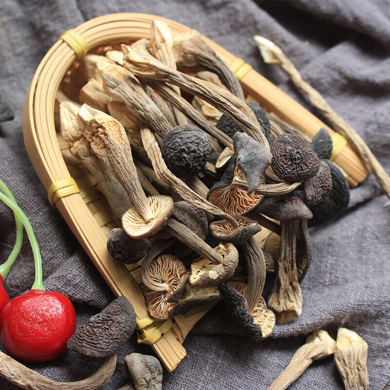 YunNan black termitomyces albuminosus Dried mushroom