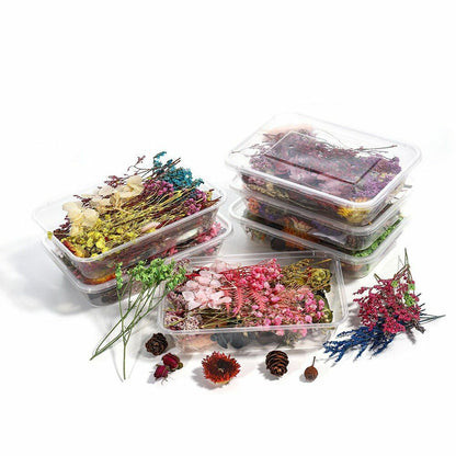 1 Box Random Real Dried Flower Resin Mold Fillings Jewelry Making Craft Supplies